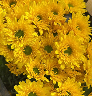 Margaritas amarillas bouquet