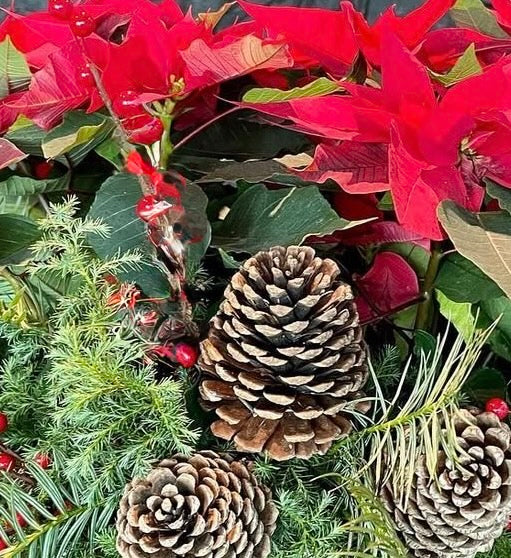 Centros de mesa Encanto Nochebuena